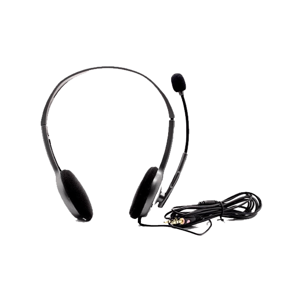 Logitech H110 Stereo Headset